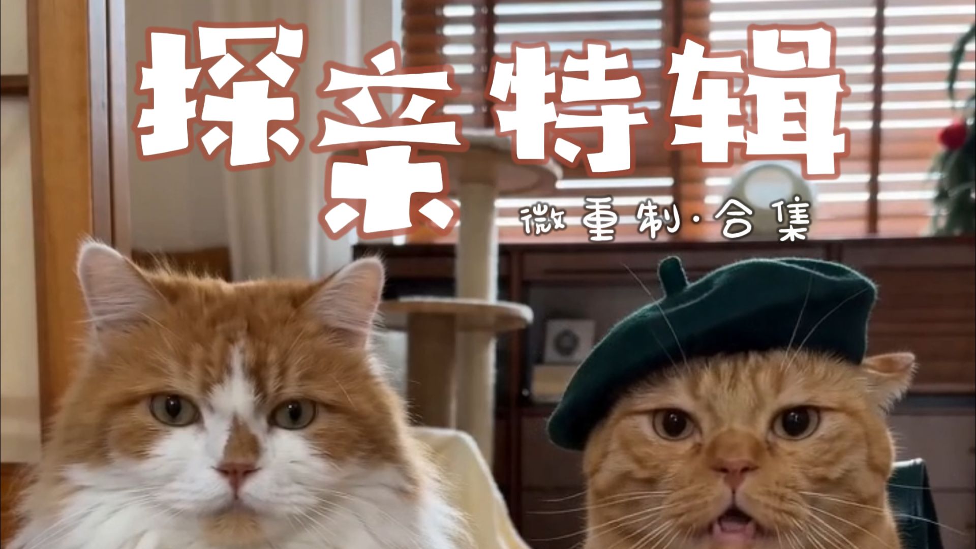 一口气看完探亲特辑！微重制版！合集！