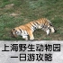 【vlog】上海野生动物园一日游攻略（不包括园内额外收费项目）