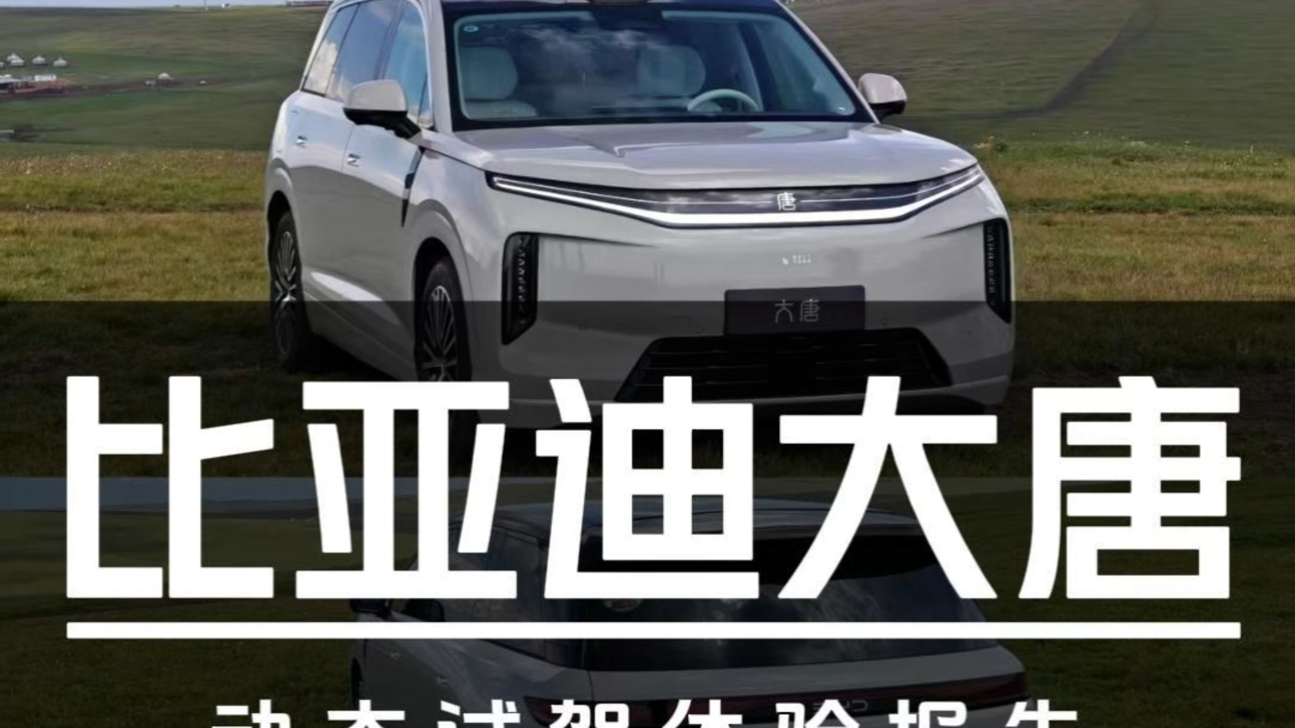 被“神化”还是真的强？无广实拍大唐动态体验报告