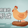 鸡蛋是怎么形成的