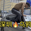 “嚣张跋扈”#乌鸦哥 #乌鸦跳车 #张耀扬