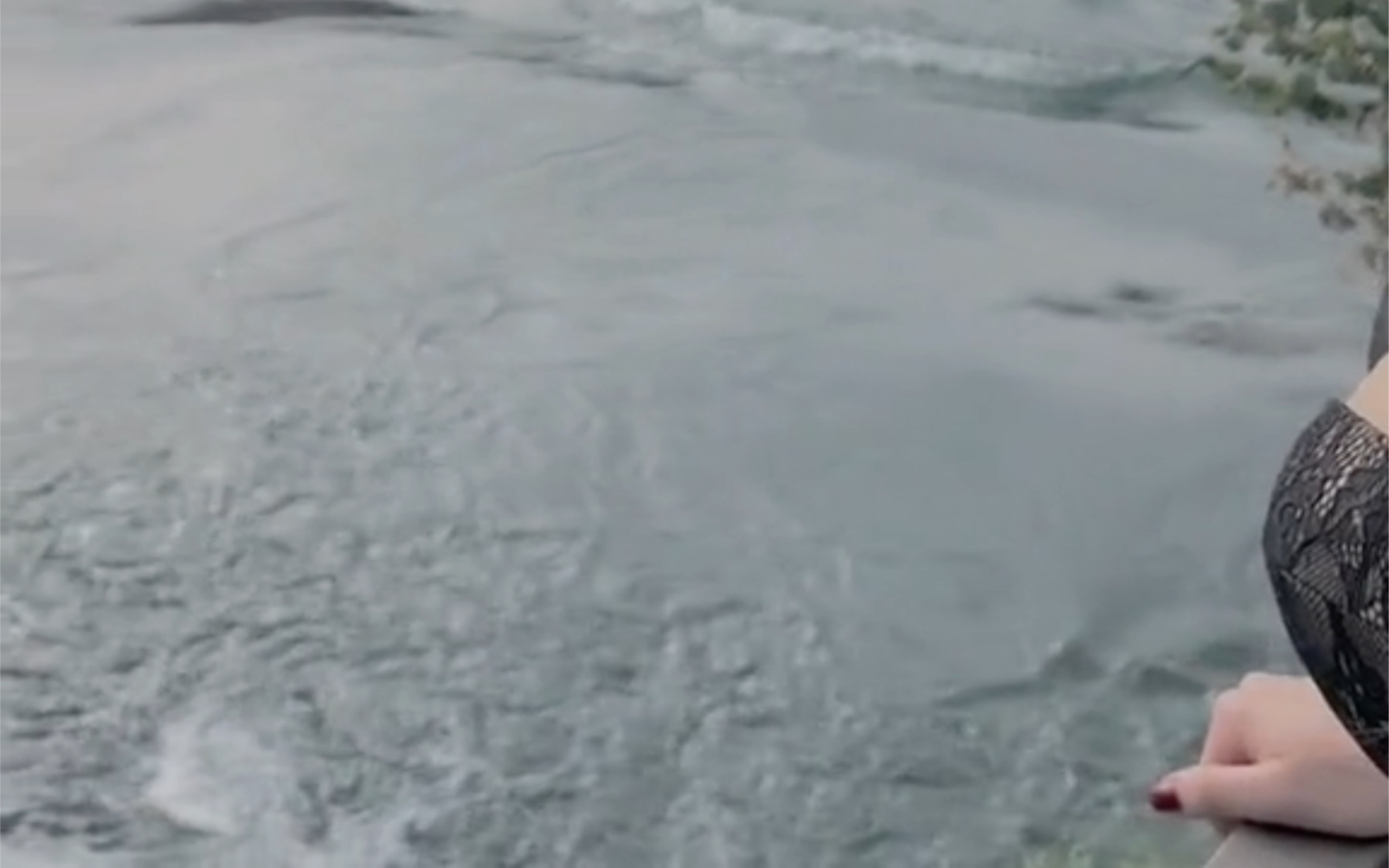 How long has it been since you've seen that ocean?