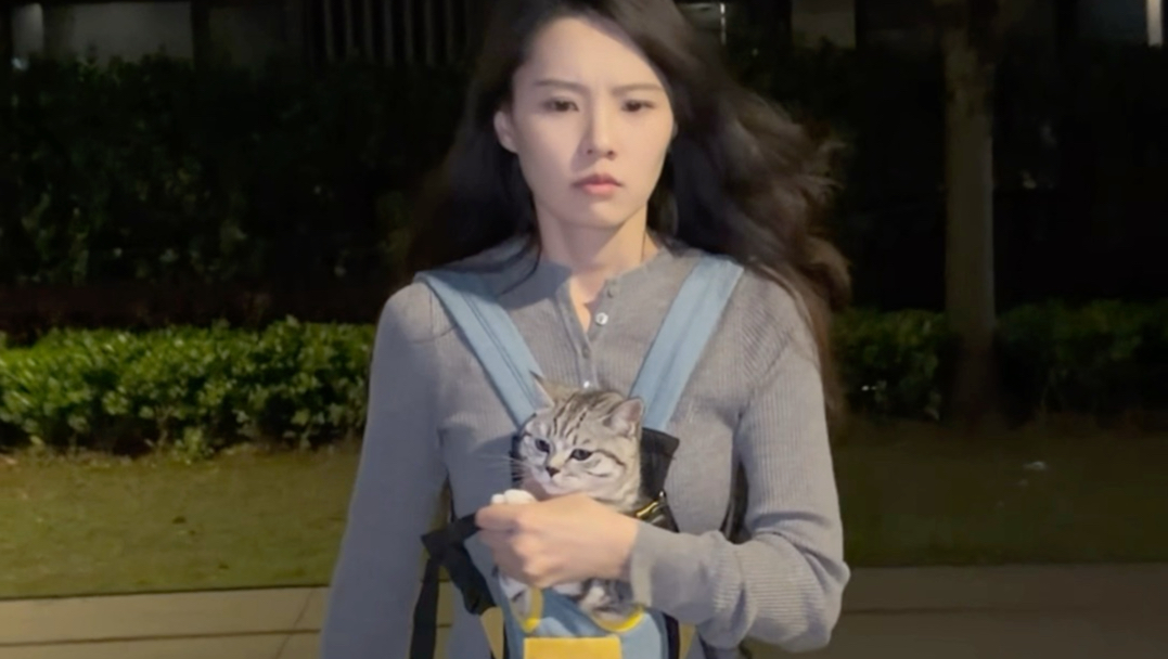 我对我家猫的信任程度belike
