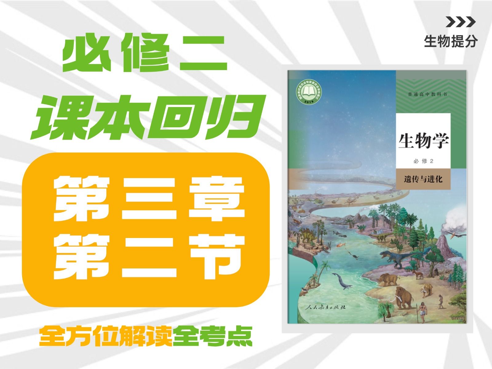 【高中生物课本回归】必修二 第3章 第2节 DNA 的结构