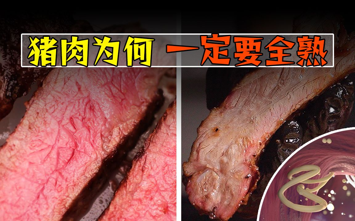 为什么牛肉三分熟就能吃,猪肉却一定要全熟?哔哩哔哩bilibili