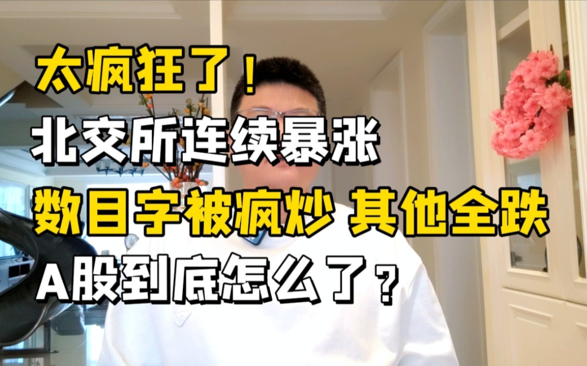 太疯狂了!北交所连续逆势大涨,数目字被疯炒,资金到底想干什么?哔哩哔哩bilibili