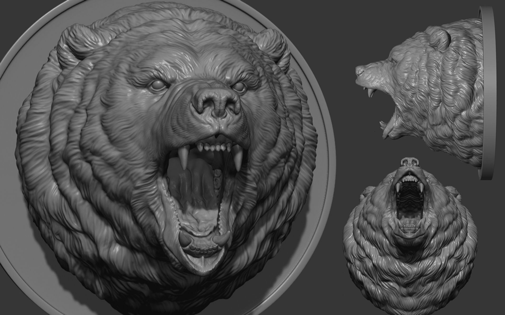 zbrush熊和鱼动物雕刻参考资料,zbrush雕刻资料