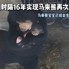 广州动物园时隔16年实现马来熊再次繁殖