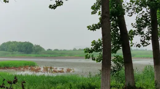 2023-5武汉青菱河露营 有梦想的可口可乐 Vlog-001