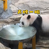 悦悦知道水倒掉了，下一桶还要一会，于是来喝水，边喝边观察