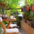 阳台上的微型花园??️??舒缓爵士乐JAZZ 春季氛围 溪流声 阅读写作放松必备☕3h