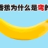 一分钟小科普#1 香蕉为什么是弯的？