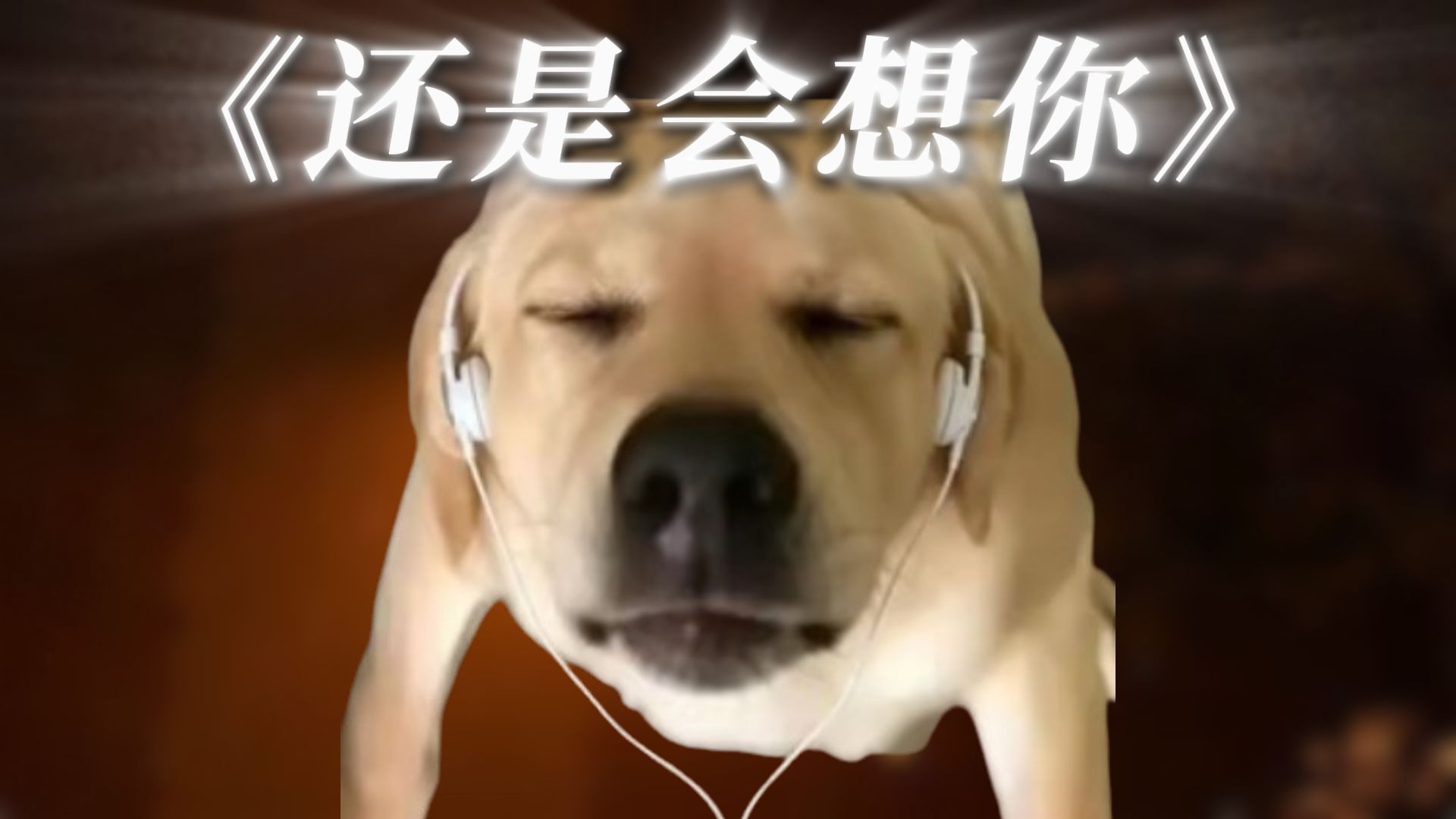 《还是会叫你》