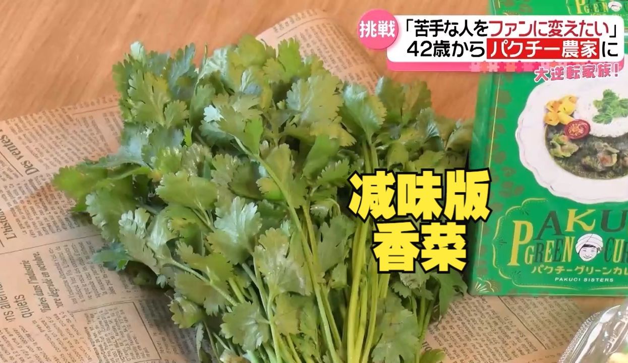 再讨厌吃香菜的人也能吃得下！日本42岁单身母亲的奋斗：我要带着丈夫的梦想活下去(中日双语)(24/06/29)