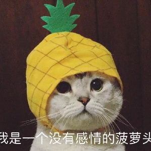 无双影评:如果演的真实一些,是不是虚假的人生