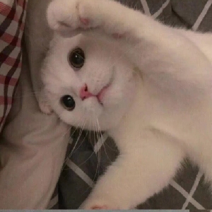 ⚠