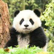 饥荒 挂机 每周抽奖 - 卧龙一枝花 - 哔哩哔哩直