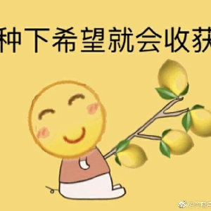 牛哔哩,一个只有评论的网站