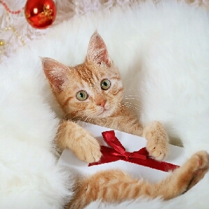 搞笑视频 之 倒放 笑死人不偿命