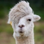 帅到爆的黑客帝国舞_宅舞_舞蹈_bilibili_哔哩