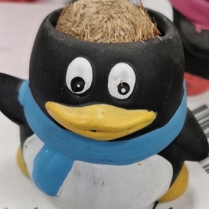 程序员鱼皮 头像