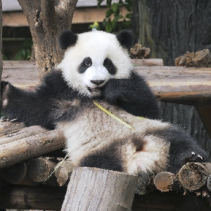 【绩笑】老司机等等我!我还没有上车呢!