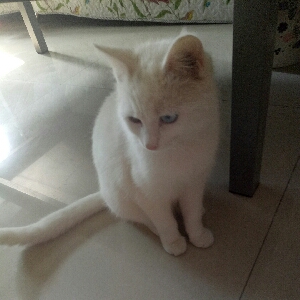 枫无涯00的直播间 - 枫无涯00 - 哔哩哔哩直播