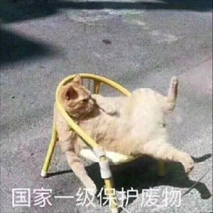 牛哔哩,一个只有评论的网站