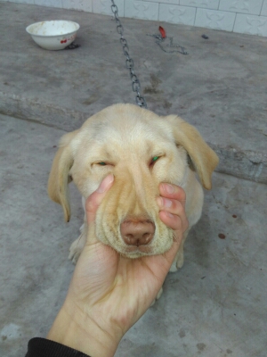 老大稳如狗的投稿视频 - 老大稳如狗 - 哔哩哔哩