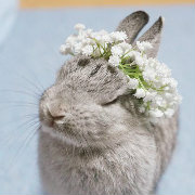 【日剧百合群像】色恋粉雪(石原里美,广末凉子