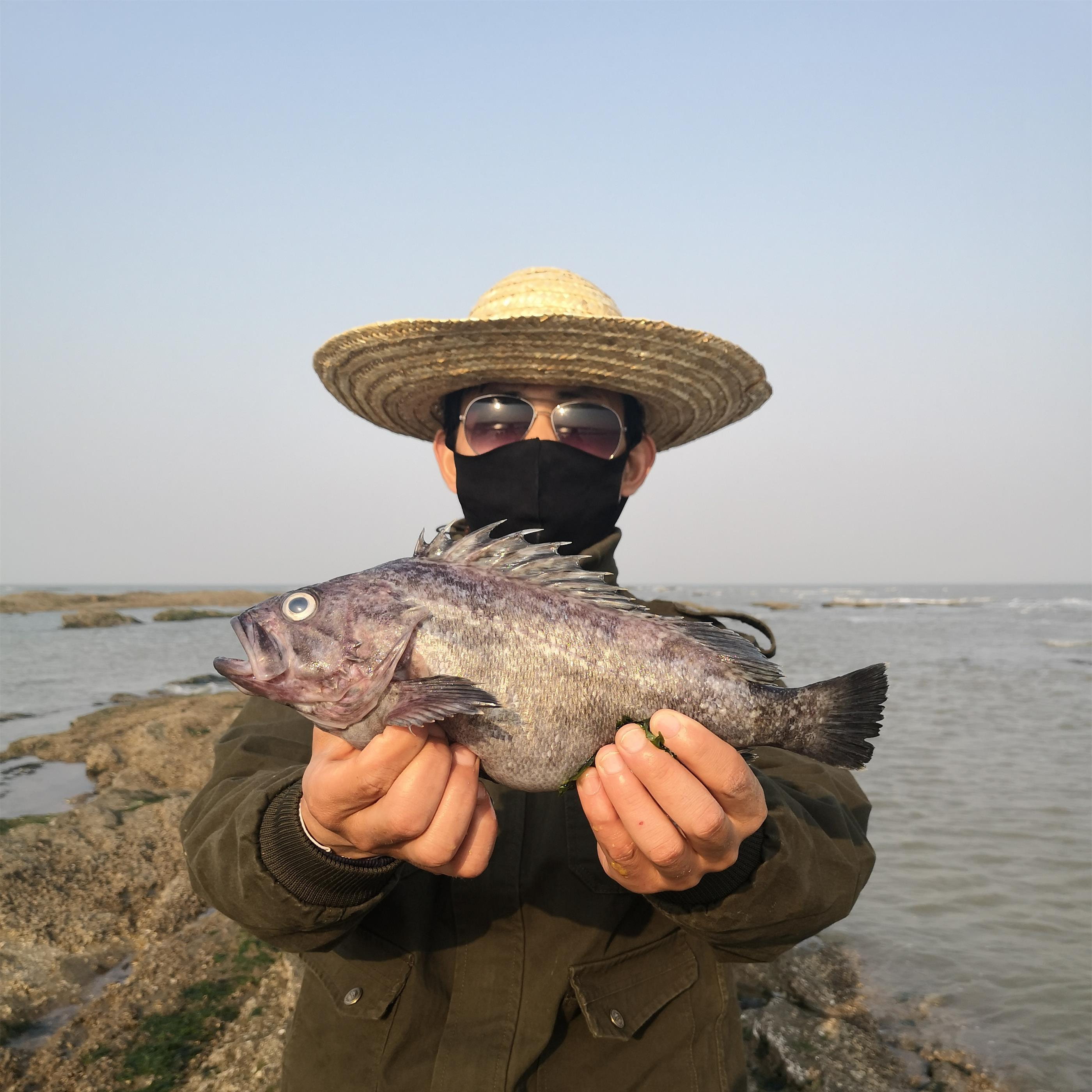 海田赶海发现墨斗鱼的繁殖地,走几步就能抓到大货,有点手忙脚乱