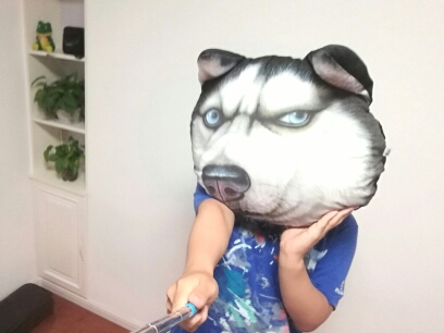 五金店老黑的直播间 - 五金店老黑 - 哔哩哔哩直播