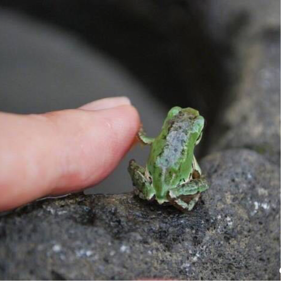 爱乔叔的奶盒子的投稿视频 - 爱乔叔的奶盒子