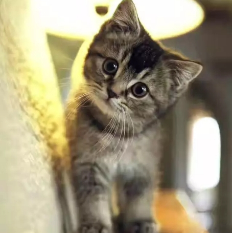 《武林外传》后八十回剧本(同人)