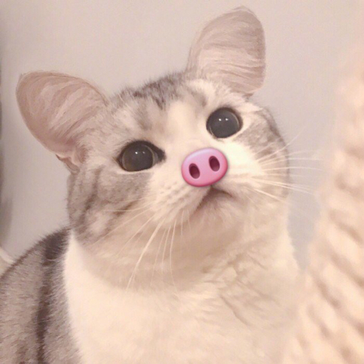 给你比心心