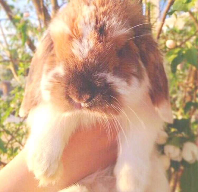 【泰国歌曲 】LIPTA feat. Southside - Add Frie