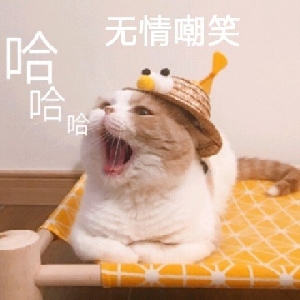 grazla x hani 拍摄花絮
