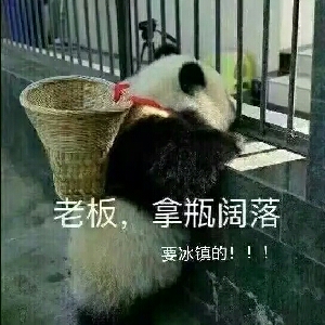 牛哔哩,一个只有评论的网站