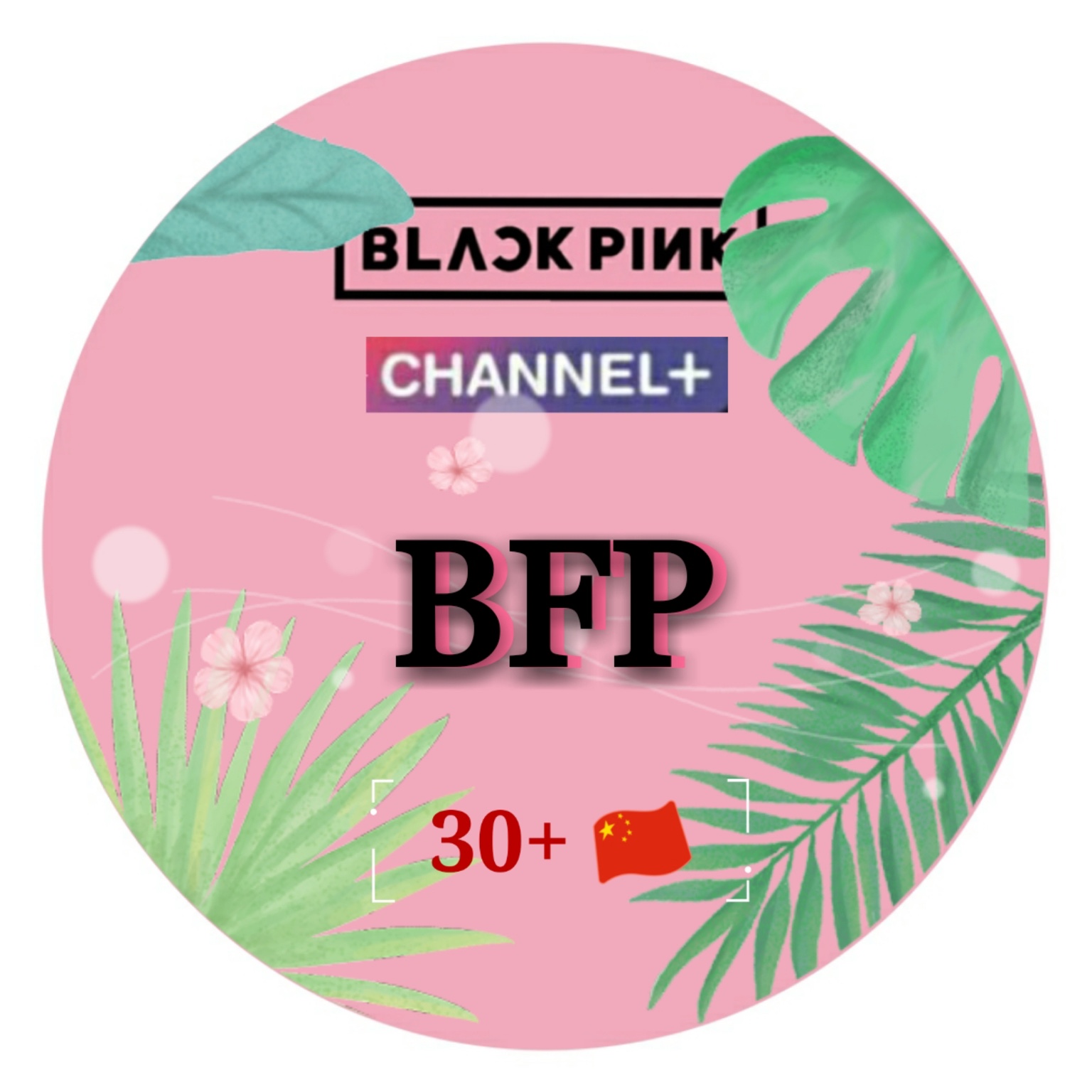 持更【bfp精校中字】"24/365 with blackpink"prolog