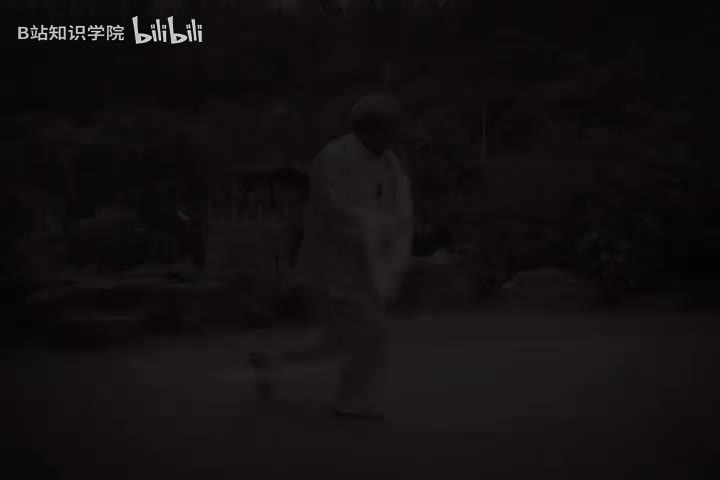 杨式太极拳85式教学3