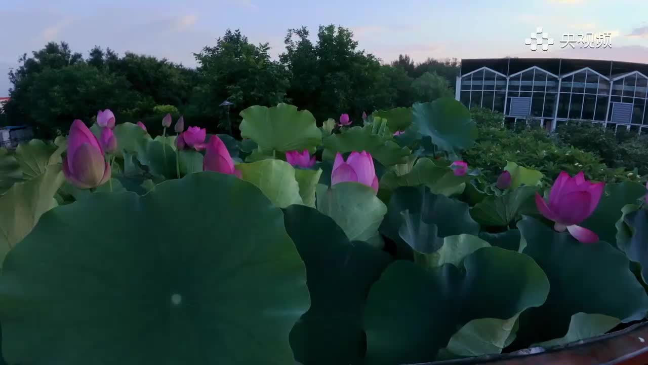 《百年守护》第二集