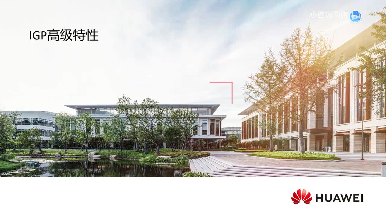 【网工高级篇】1.IGP高级特性概述