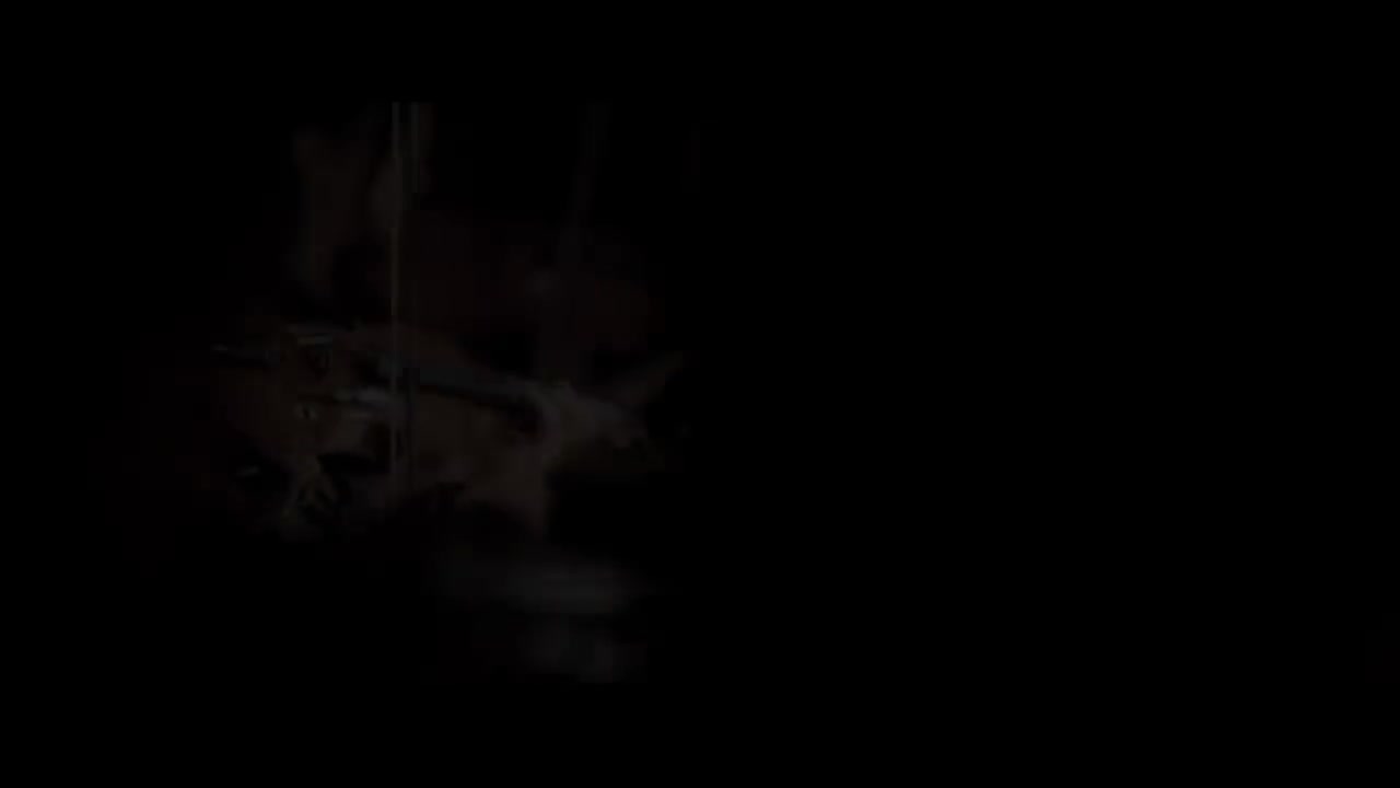 2012 11 28 Overfly -orchestra ver.-