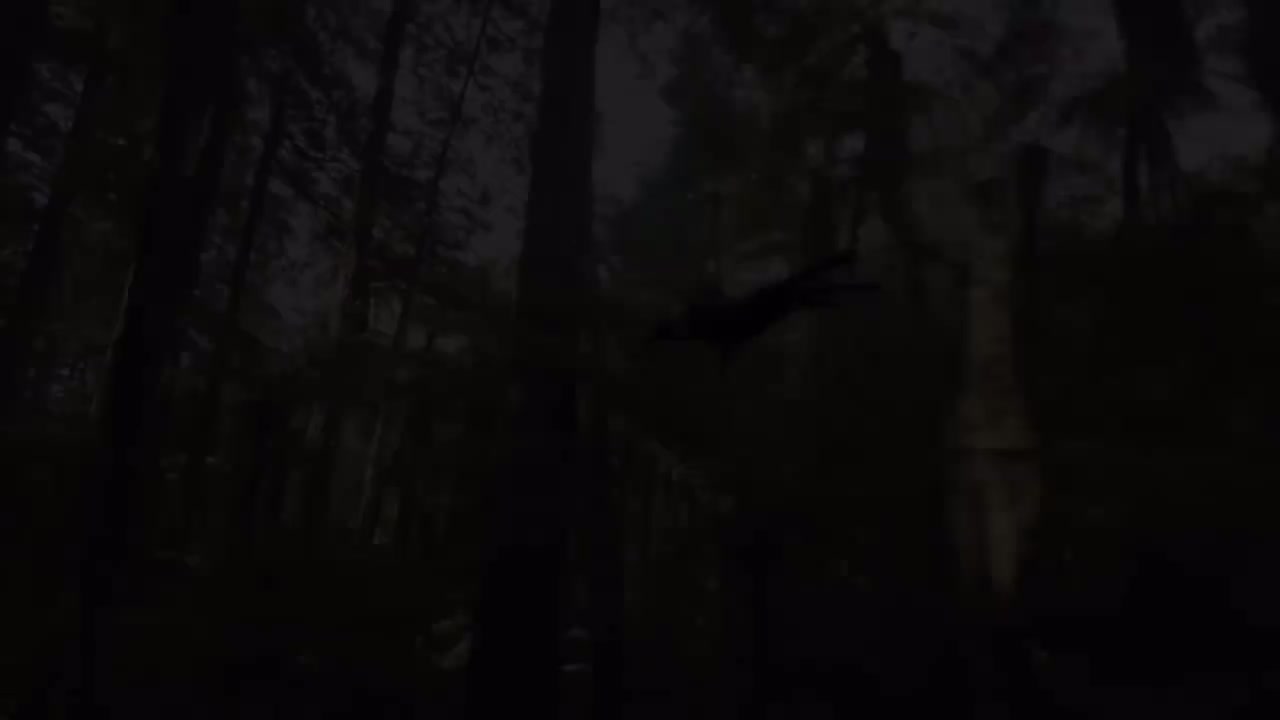 汉语配音