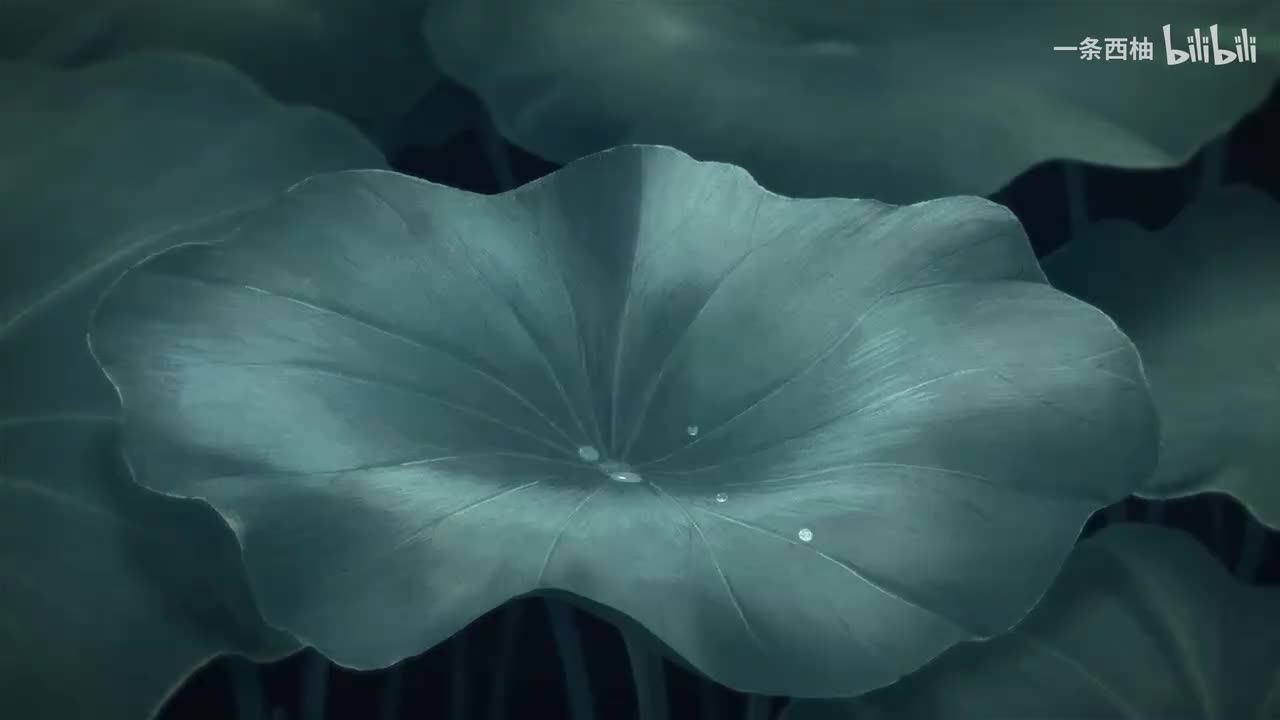 雨中氛围感 (9)