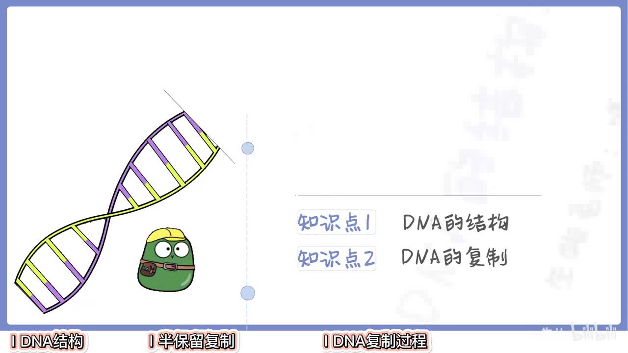 分子遗传】2DNA的结构和复制【辞典】旧