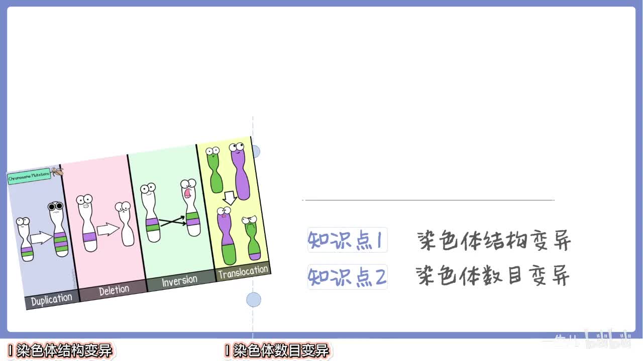 现代遗传】3染色体变异【辞典】旧