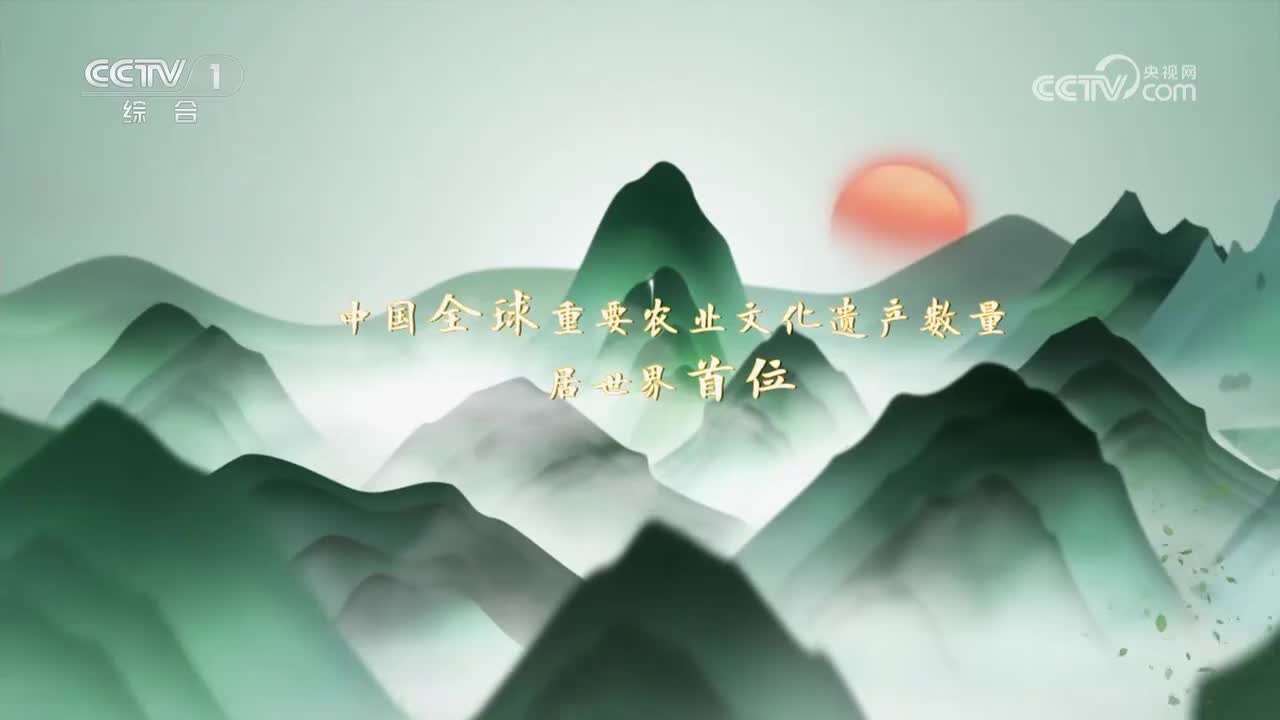 第11集 江西万年稻作文化系统