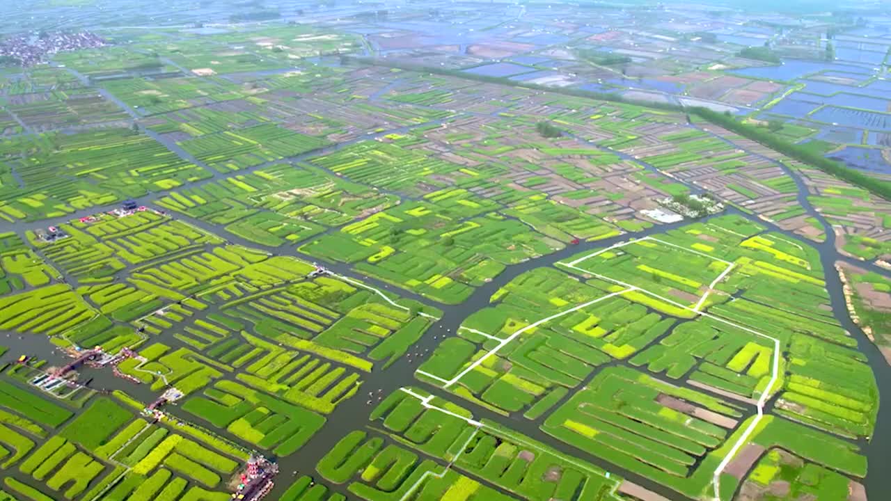 Amazing China 美丽中国 33.漂在沼泽之上的花海