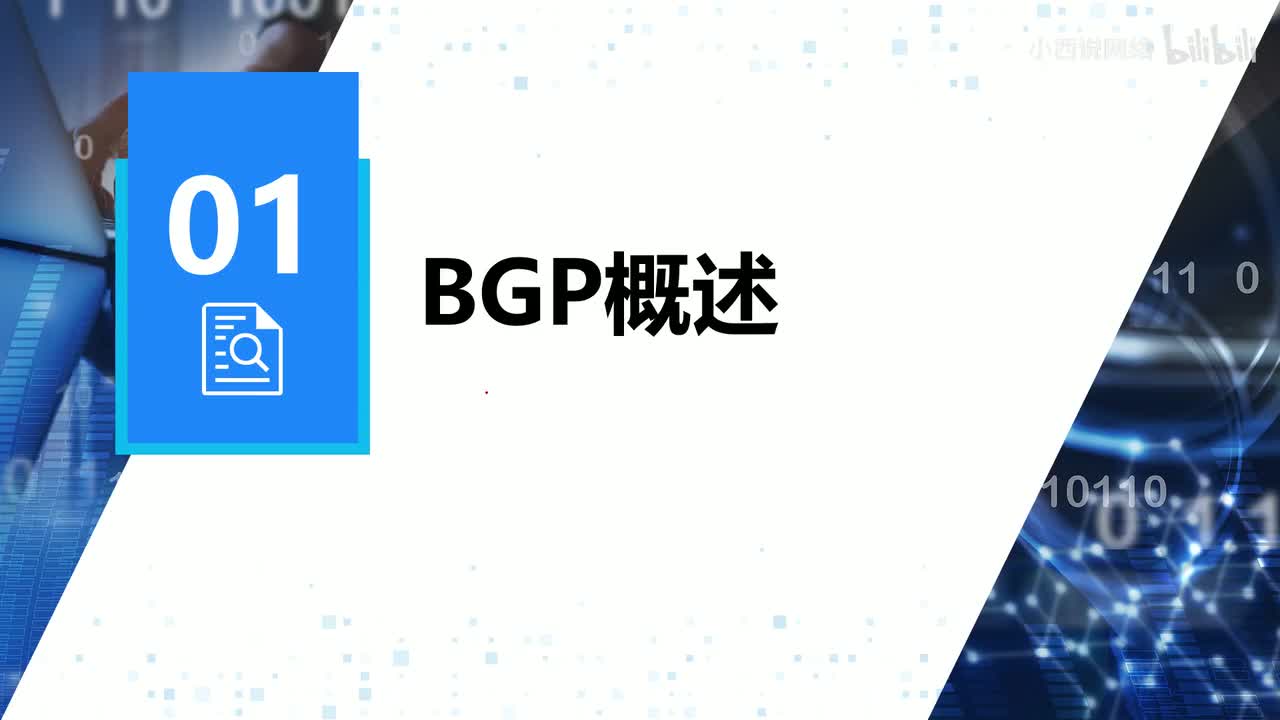 【网工进阶篇】01 BGP概述